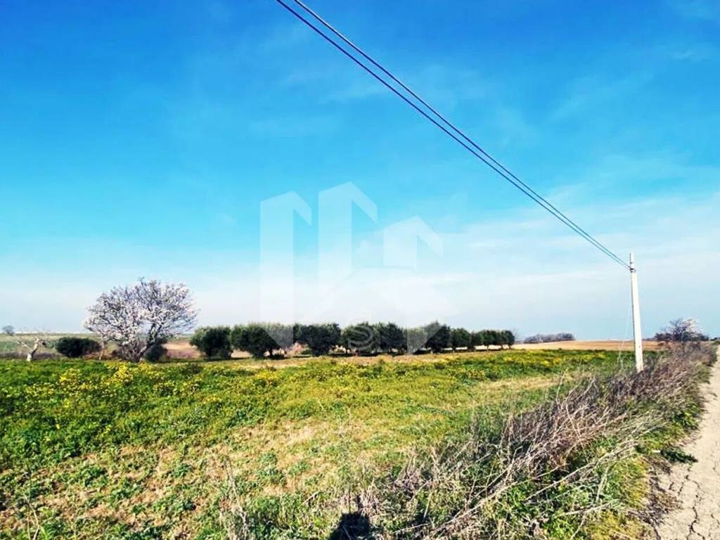 Terreno a Termoli in Via Mincio S.N.C. - Foto 4