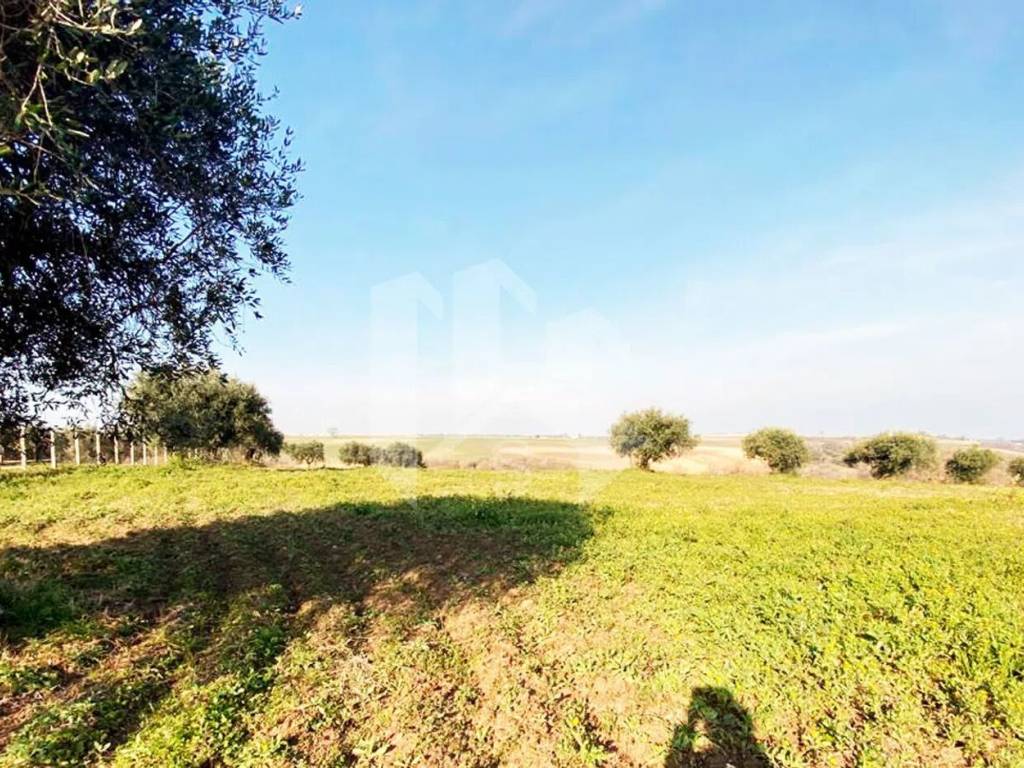 Terreno a Termoli in Via Mincio S.N.C. - Foto 5