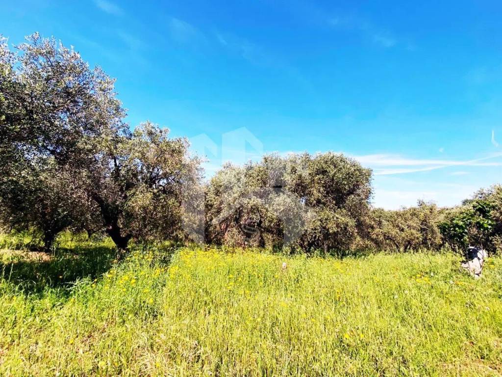 Terreno a Termoli in Via Degli Olmi - Foto 2