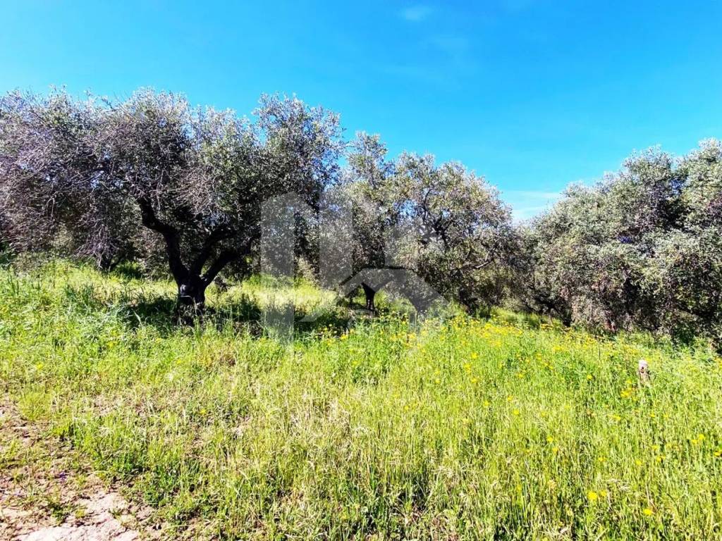 Terreno a Termoli in Via Degli Olmi - Foto 3