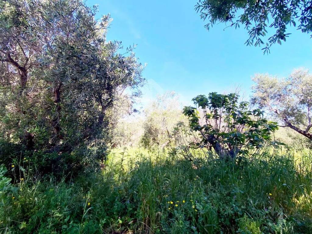 Terreno a Termoli in Via Degli Olmi - Foto 5