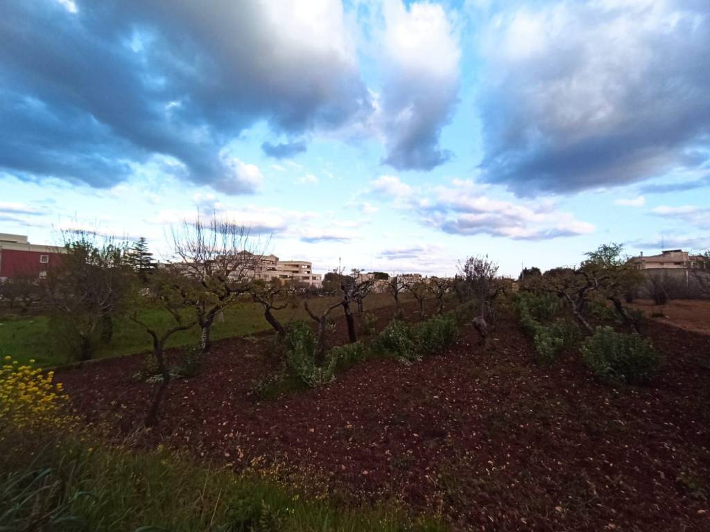 Terreno a Castellana grotte in grotte - Foto 3
