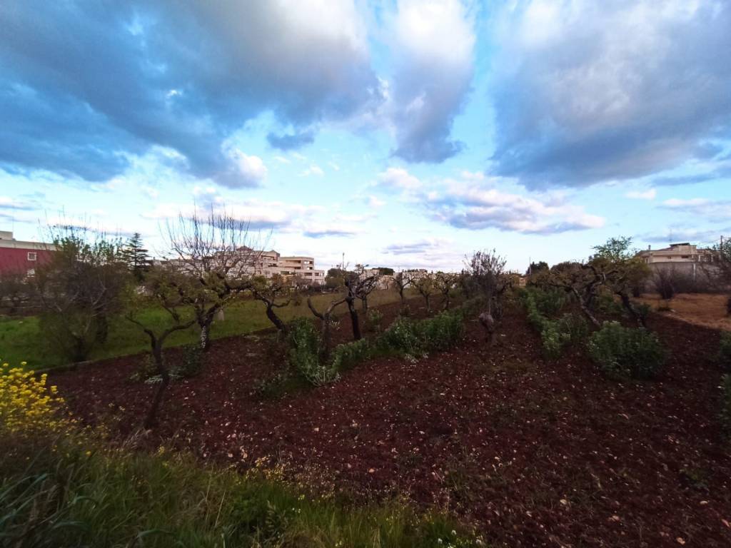 Terreno a Castellana grotte in grotte - Foto 5