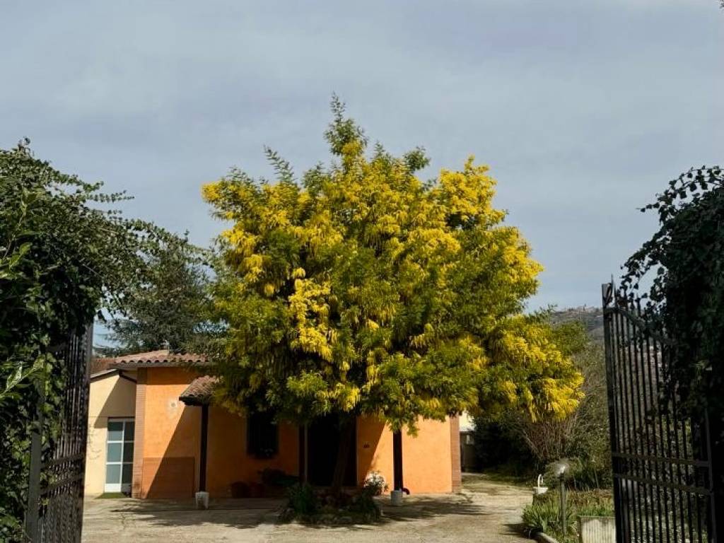 Villa a Palestrina in Via Colle Silvano - Foto 2