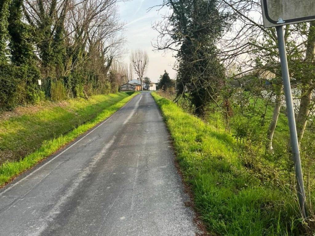 Terreno a Massa lombarda - Foto 2