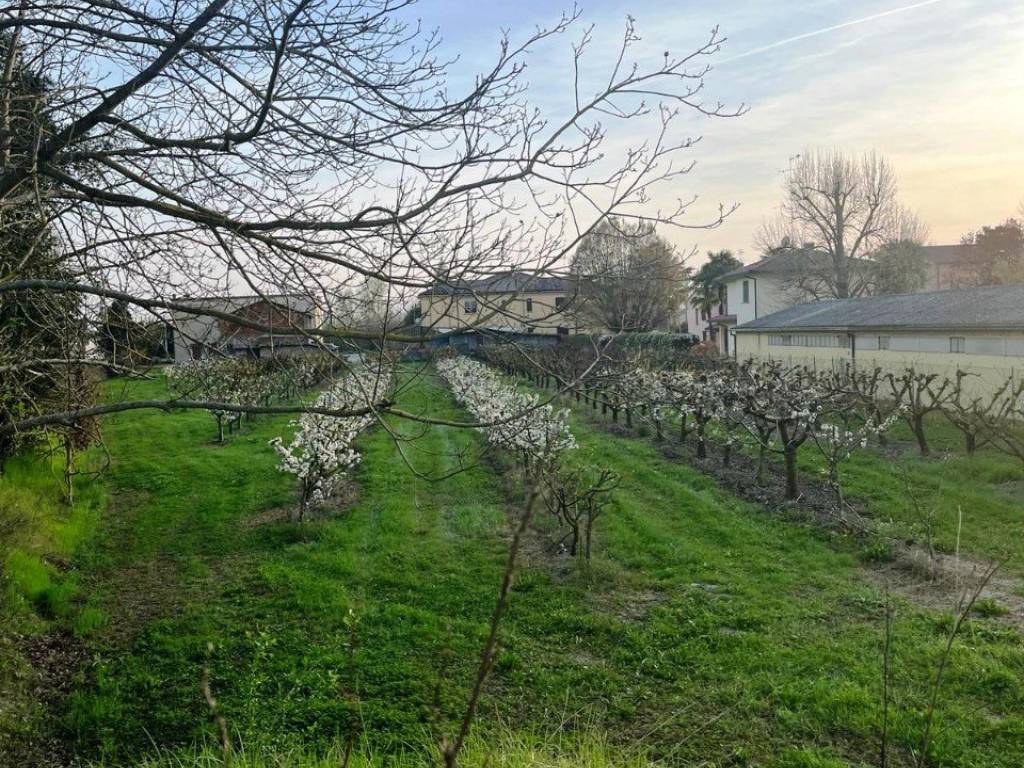 Terreno a Massa lombarda - Foto 3
