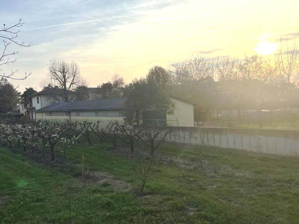 Terreno a Massa lombarda - Foto 4