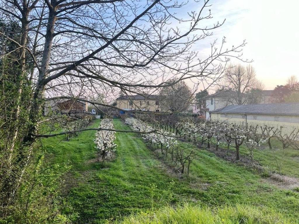 Terreno a Massa lombarda - Foto 5