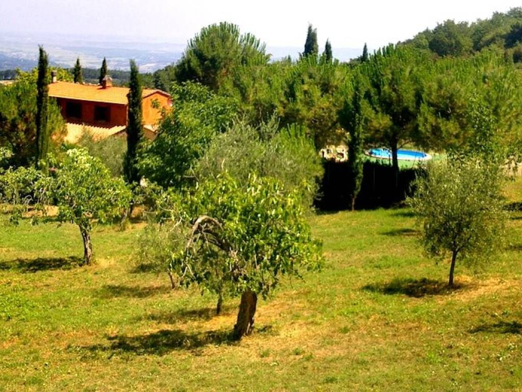 Casa indipendente a Chianni - Foto 4