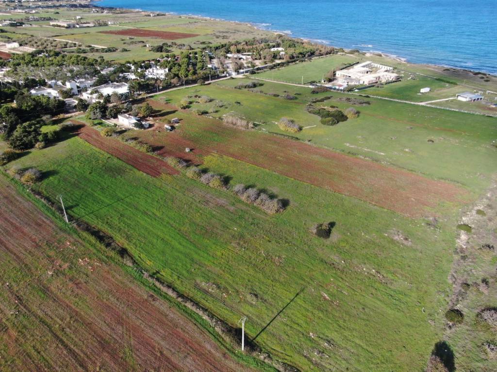Terreno a Carovigno in Contrada Scianolecchia - Foto 3