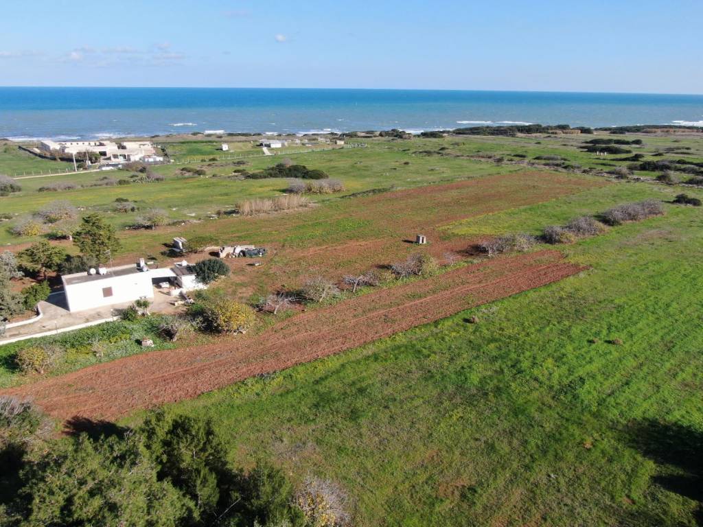 Terreno a Carovigno in Contrada Scianolecchia - Foto 4