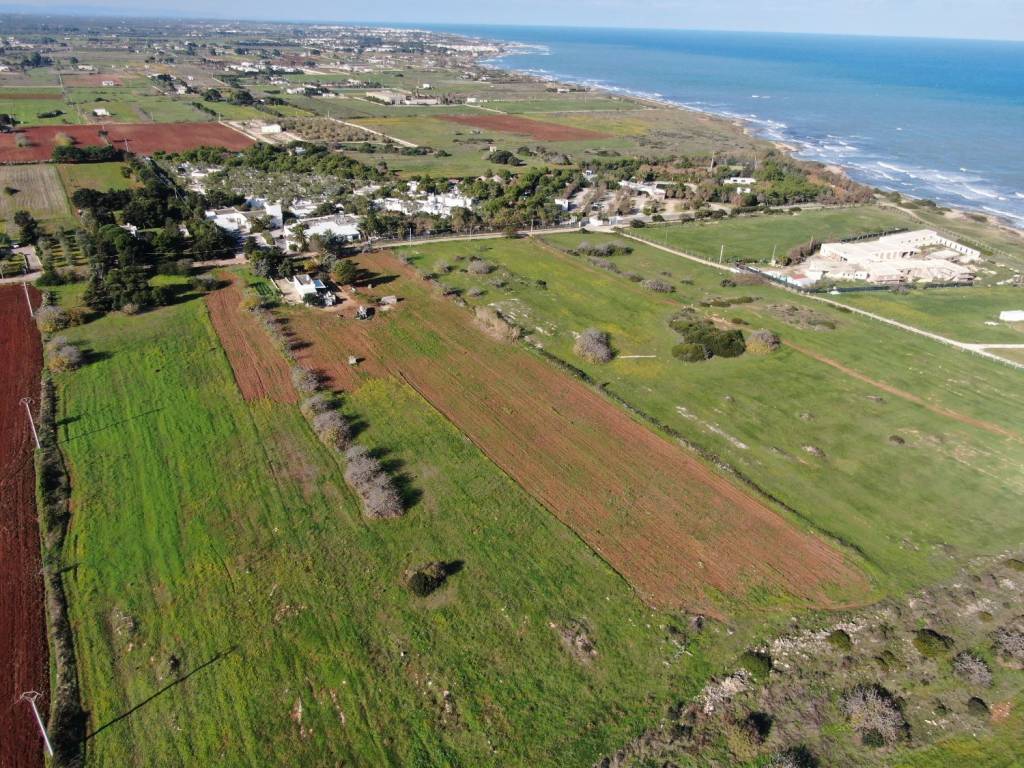 Terreno a Carovigno in Contrada Scianolecchia - Foto 5