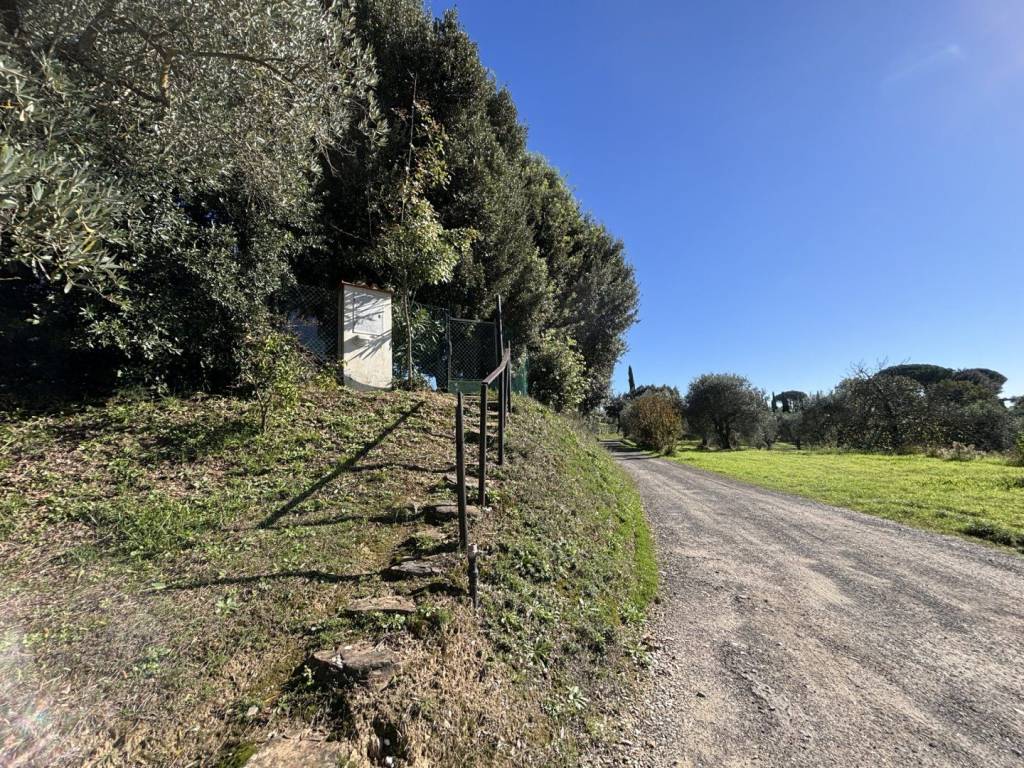 Casa indipendente a Palaia - Foto 3