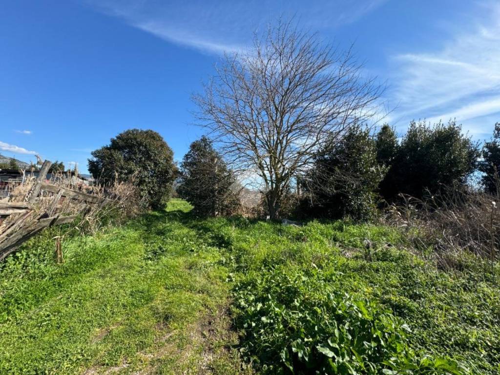 Rustico / casale a Terracina in Via Ceccaccio - Foto 2