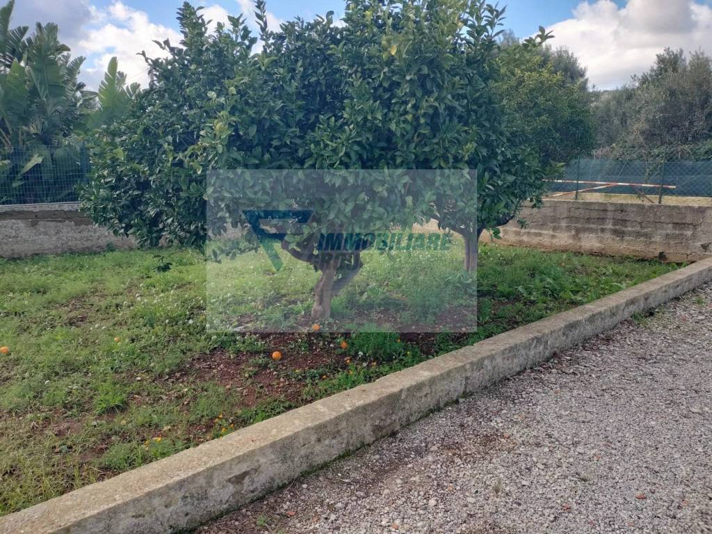 Terreno a Priolo gargallo in Contrada Biggemi - Foto 3
