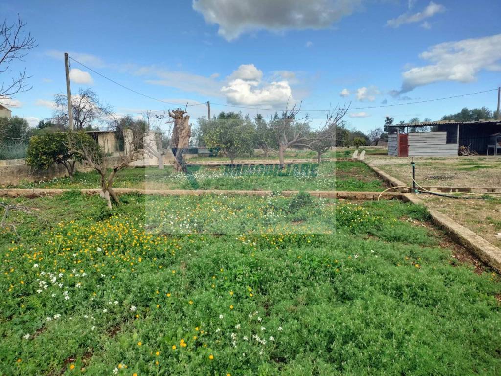 Terreno a Priolo gargallo in Contrada Biggemi - Foto 4