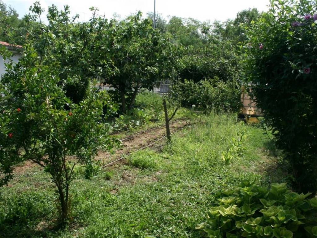 Villa a Tortona in strada viola - Foto 5