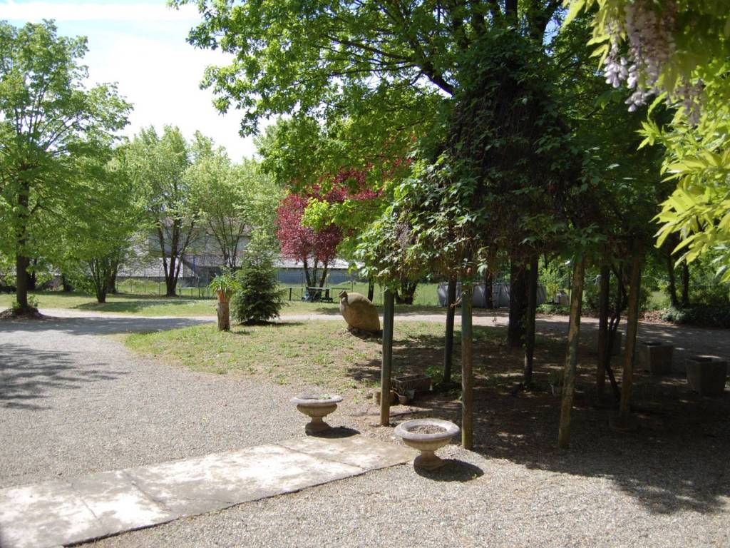 Rustico / casale a Fubine monferrato - Foto 4