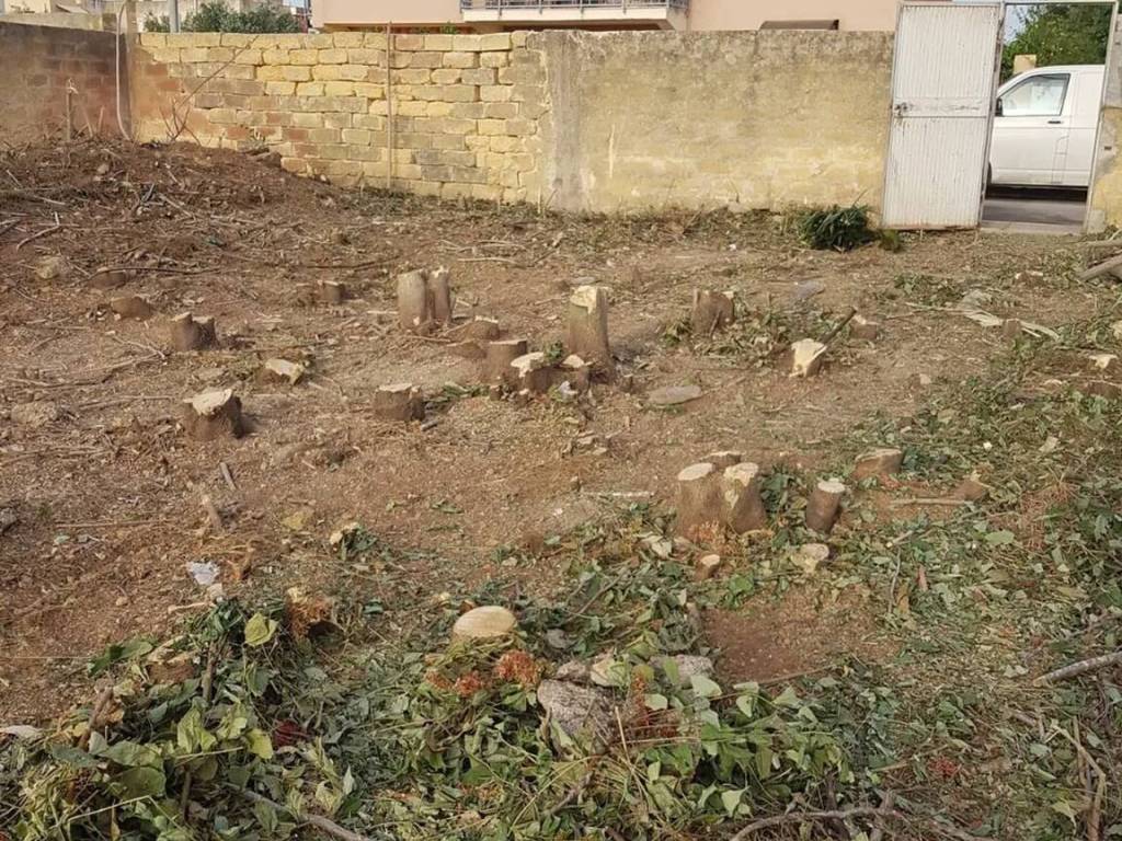Terreno a Mazara del vallo in Via Santa Gemma S.N.C. - Foto 2