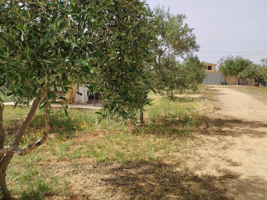 Terreno a Mazara del vallo in Contrada Santa Maria S.N.C. - Foto 2
