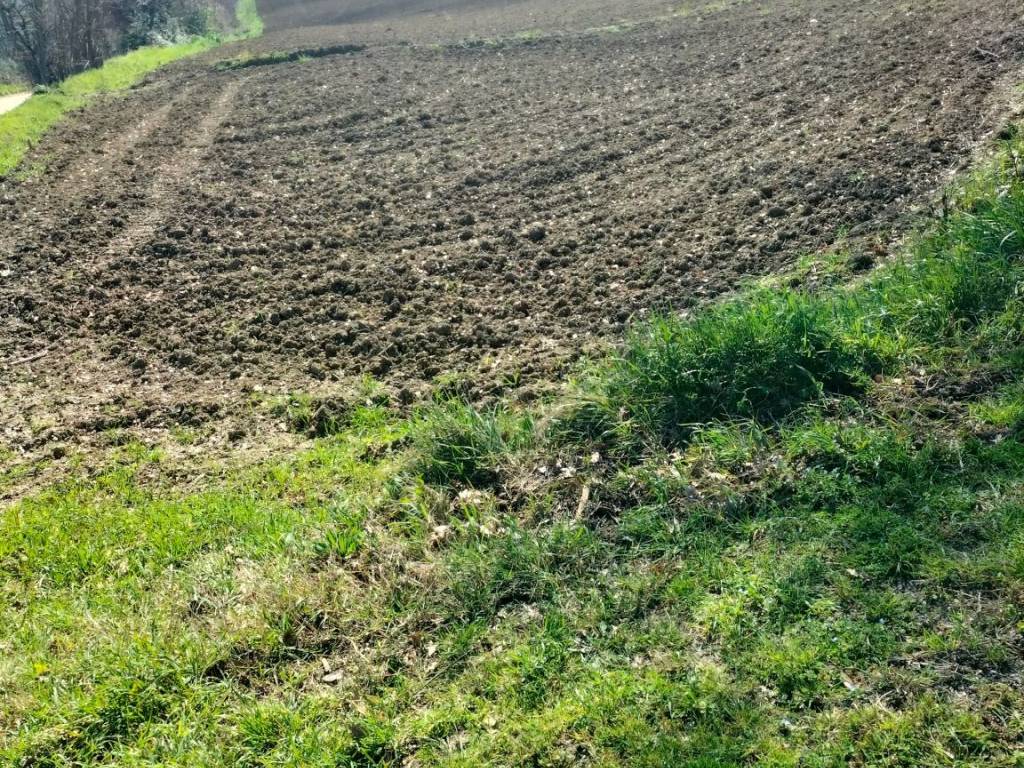 Terreno a Jesi in Via Roma, 141 - Foto 2
