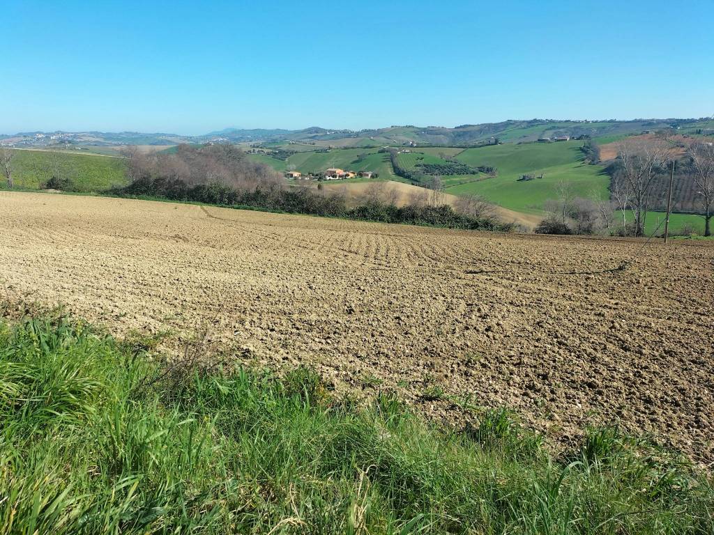 Terreno a Jesi in Via Roma, 141 - Foto 3