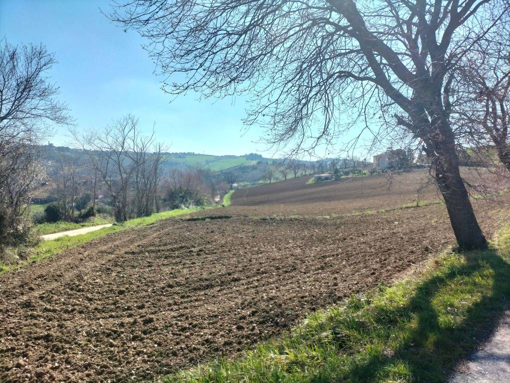 Terreno a Jesi in Via Roma, 141 - Foto 4