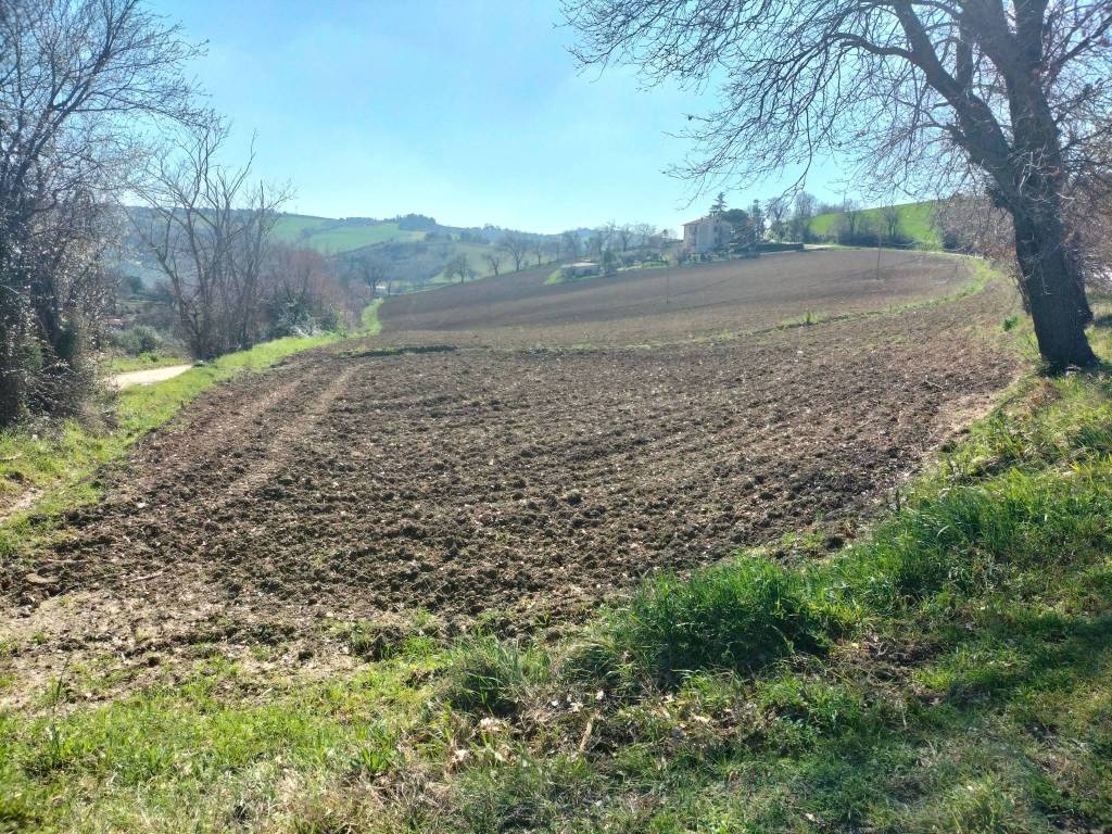 Terreno a Jesi in Via Roma, 141 - Foto 5