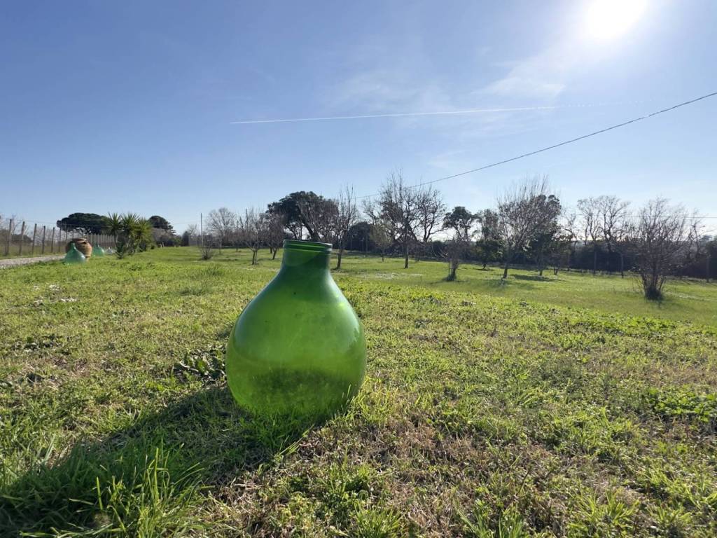Villa a Tarquinia in Strada Provinciale Litoranea - Foto 2