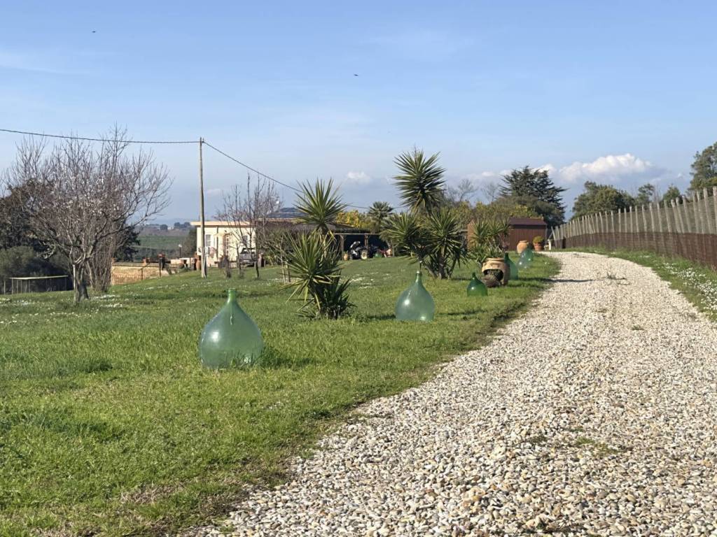 Villa a Tarquinia in Strada Provinciale Litoranea - Foto 3