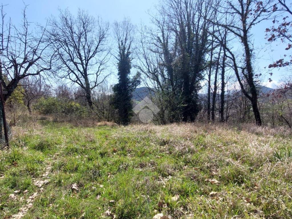 Rustico / casale a Vico nel lazio in Via S. Barbara - Foto 5