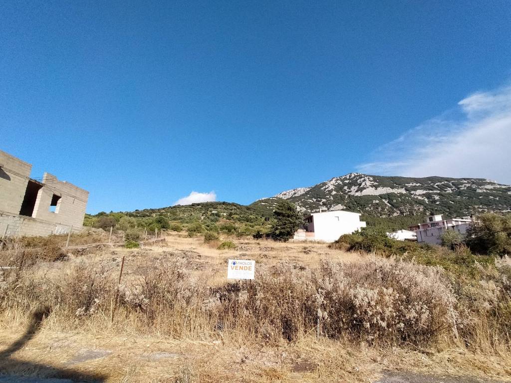 Terreno a Dorgali in Via Su Pasadorzu, 3 - Foto 4