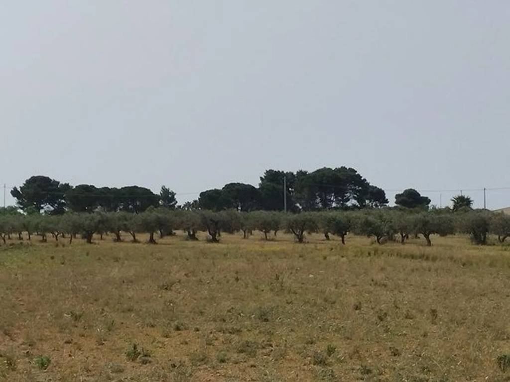 Terreno a Mazara del vallo in Via Rosario Ballatore S.N.C. - Foto 2