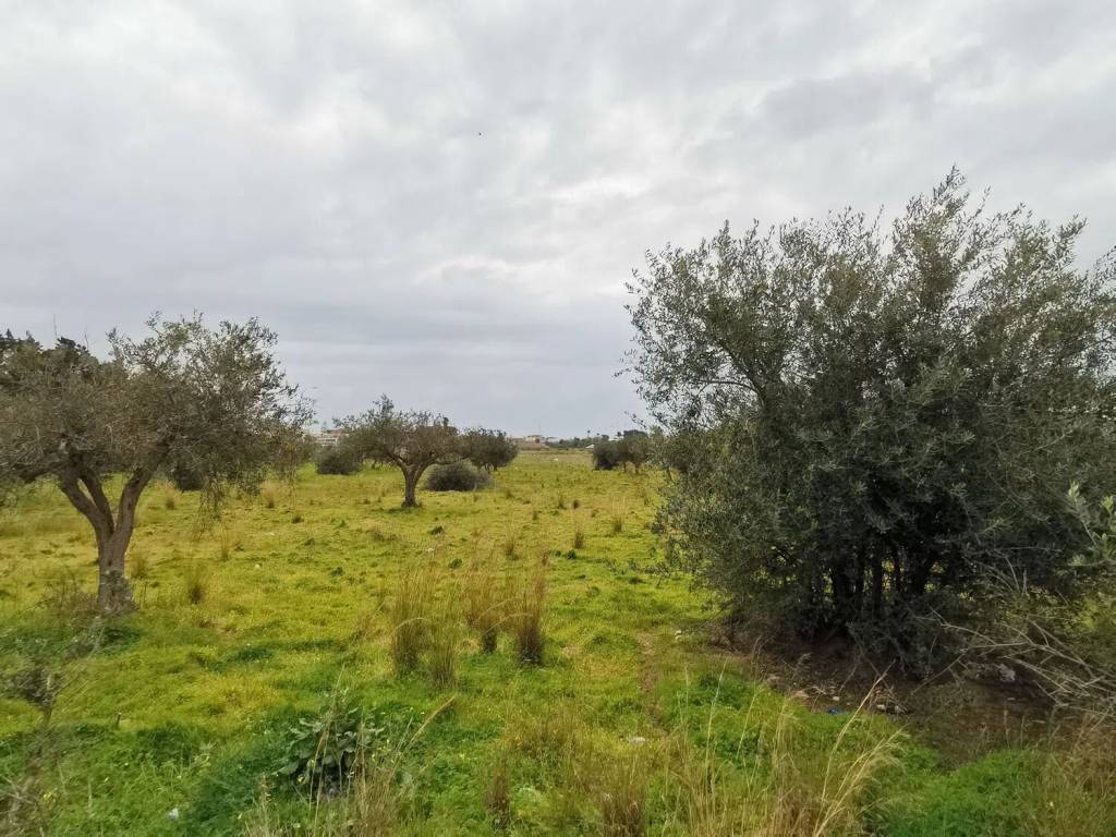 Terreno a Mazara del vallo in Via Maranzano S.N.C. - Foto 5
