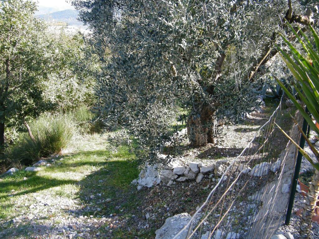 Villa a Alatri in Via della Croce - Foto 4