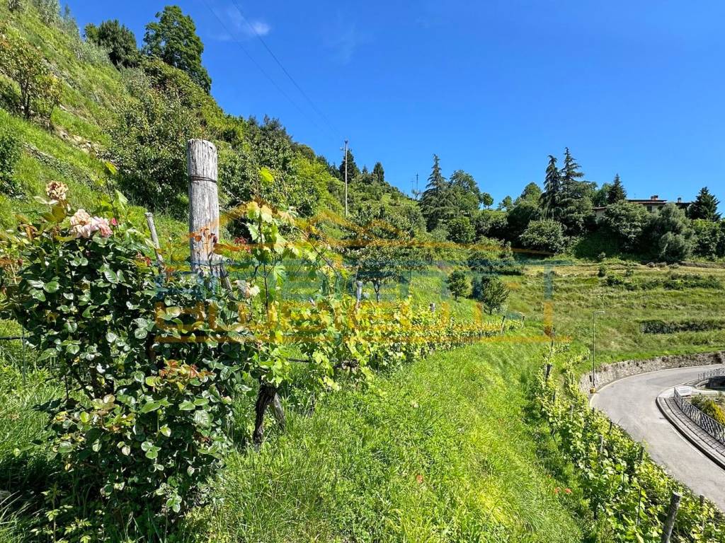 Villa a Montevecchia in Via Belvedere, 37 - Foto 4