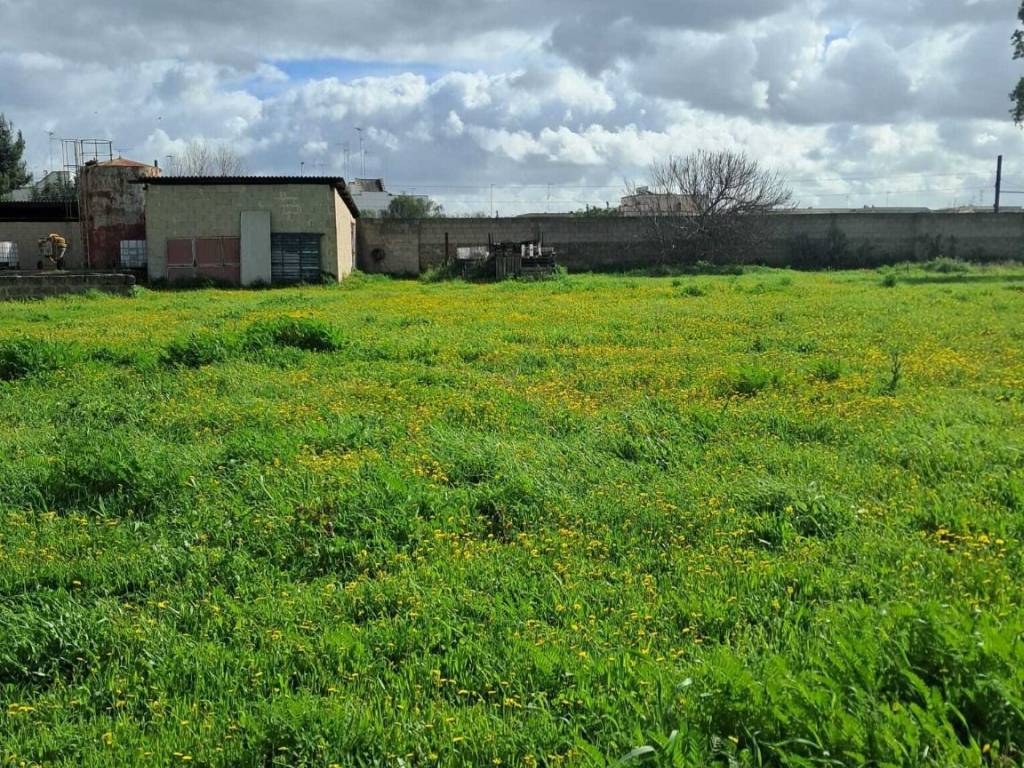 Immobile a San cesario di lecce in Via Scomunicata - Foto 2