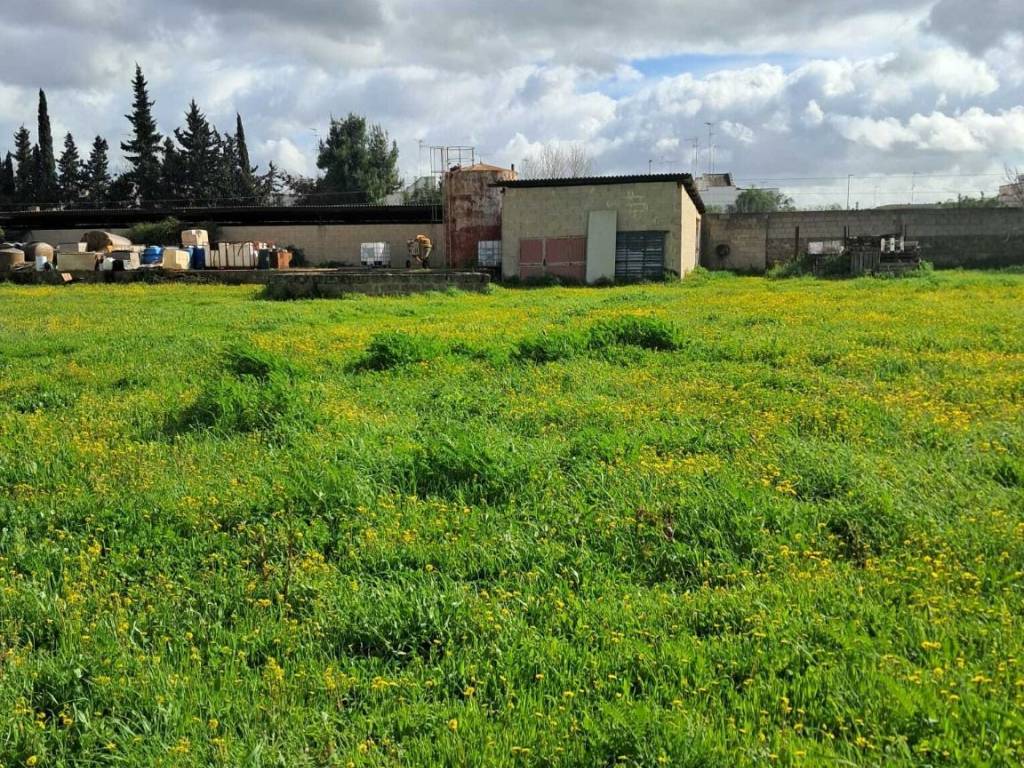 Immobile a San cesario di lecce in Via Scomunicata - Foto 3