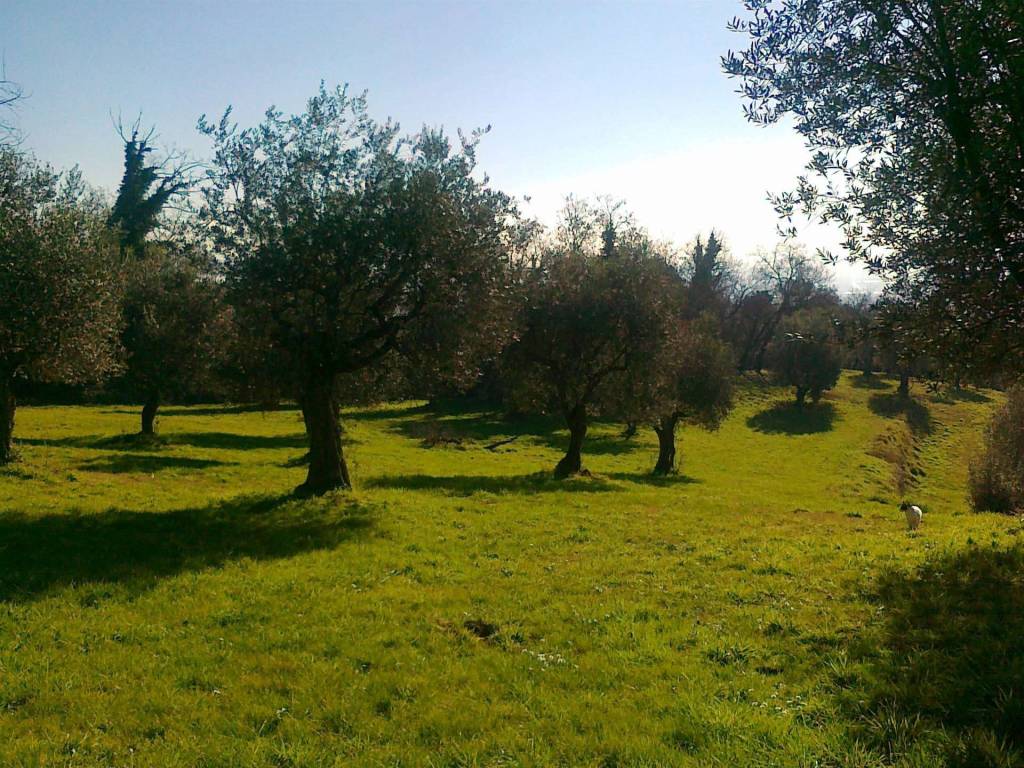 Rustico / casale a Pistoia - Foto 3