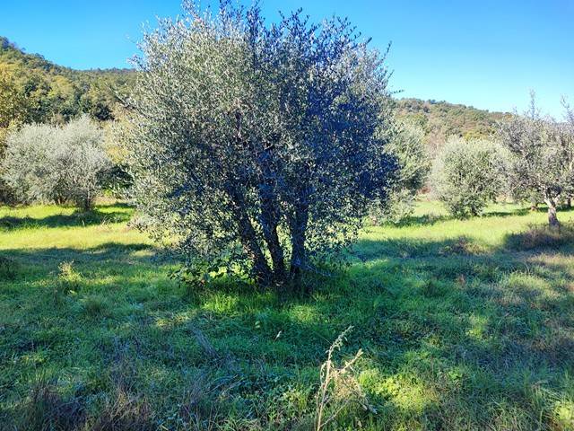 Rustico / casale a Subbiano in Località La Lama - Foto 2