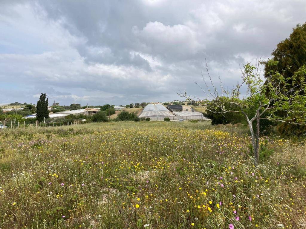 Terreno a Pachino in Contrada Chiappa - Foto 3