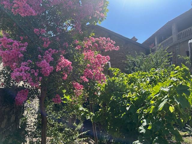 Rustico / casale a Castellarano in Via San Prospero - Foto 5