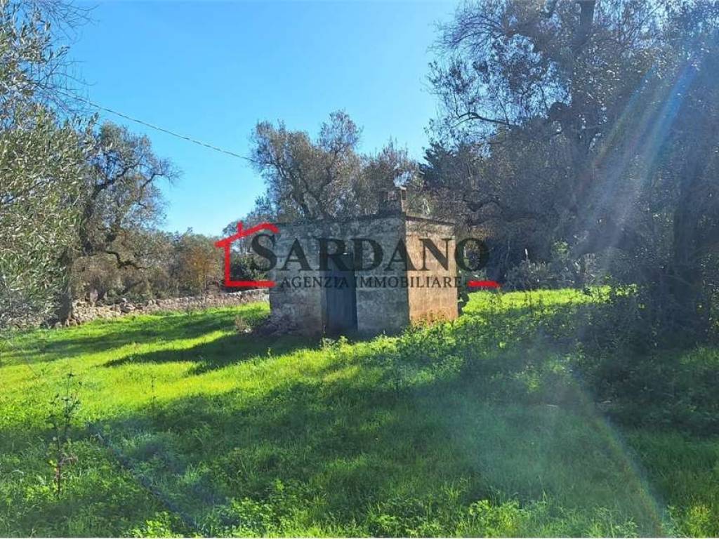 Terreno a Ostuni - Foto 2