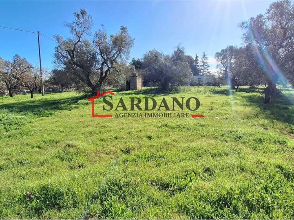 Terreno a Ostuni - Foto 3