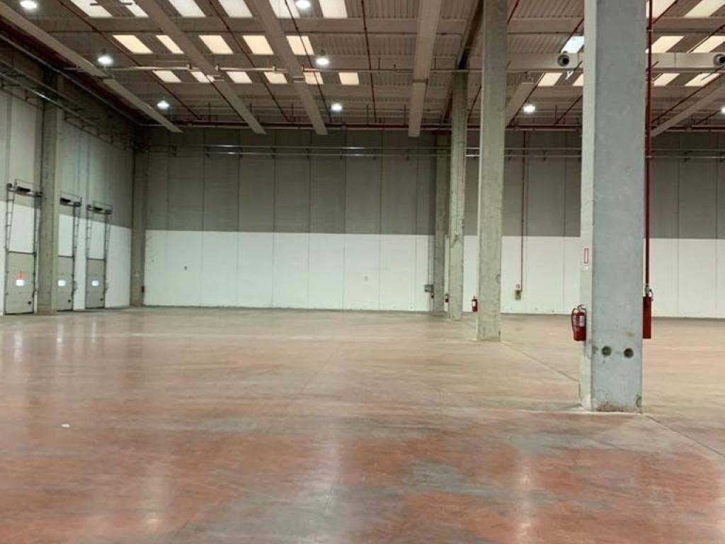 Immobile a Anagni in Località Paduni - Foto 4