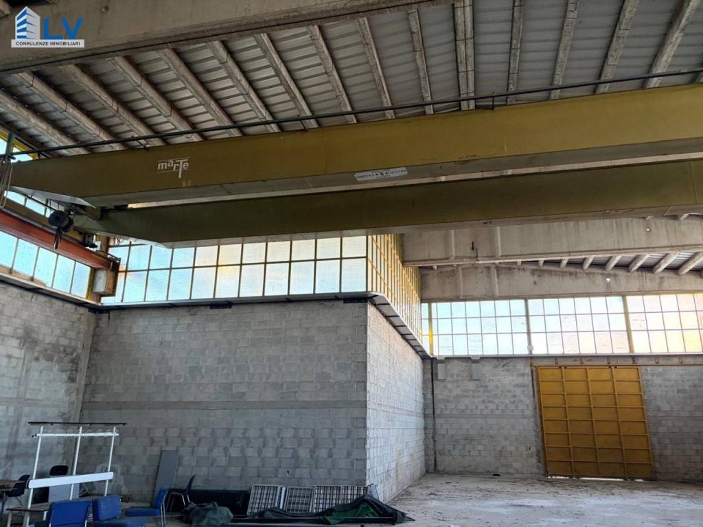 Immobile a Frosinone - Foto 5