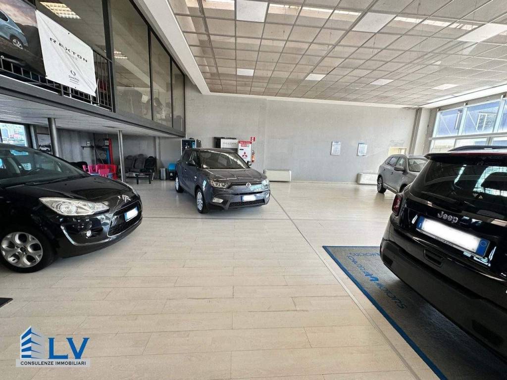 Immobile a Frosinone - Foto 4