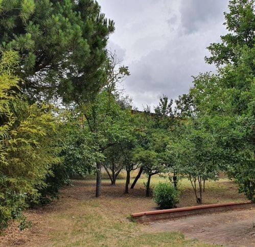 Appartamento a Foiano della chiana in Via Duca - Foto 3