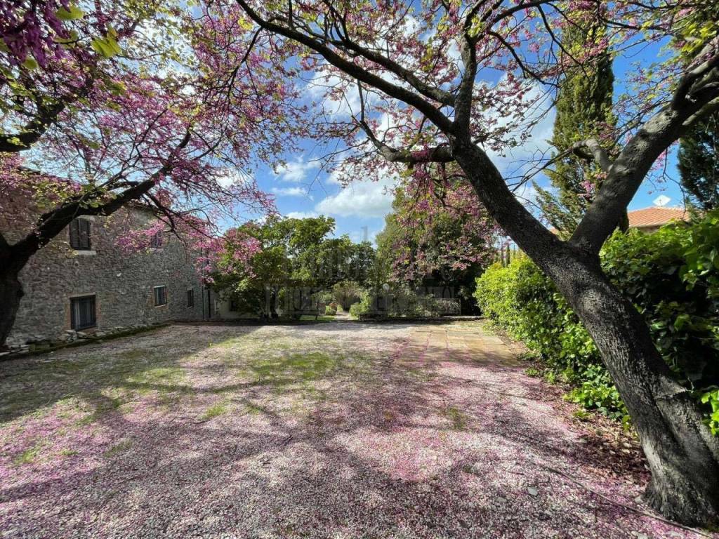 Rustico / casale a Manciano in Strada Provinciale Scansanese - Foto 3