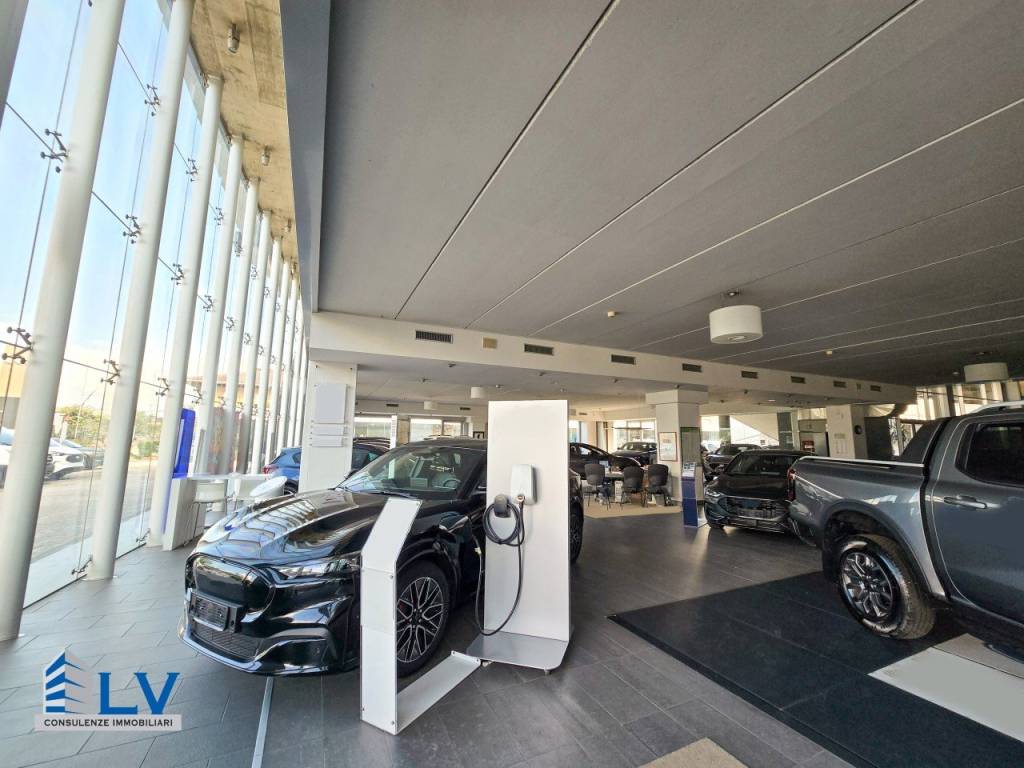 Immobile a Frosinone - Foto 4